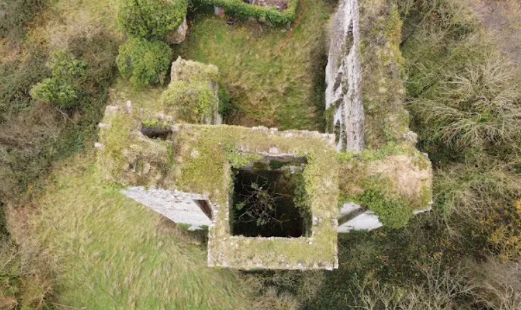 Coonagh Castle, Ireland